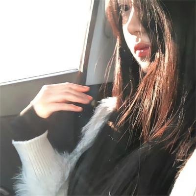明月守护者